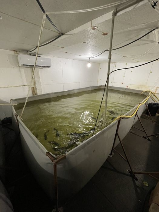 Ціну знижено!!!Продам готовий бізнес