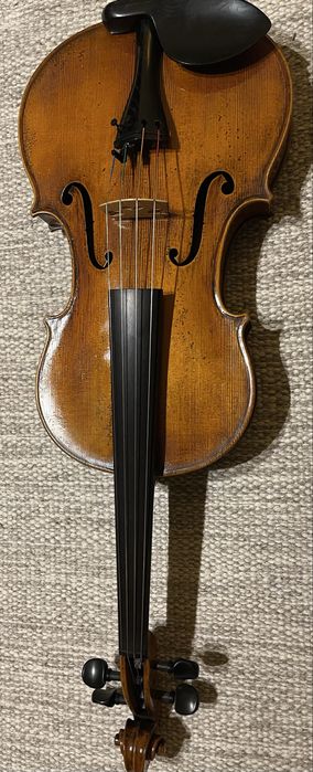 Viola Antonio Wang modelo Verona