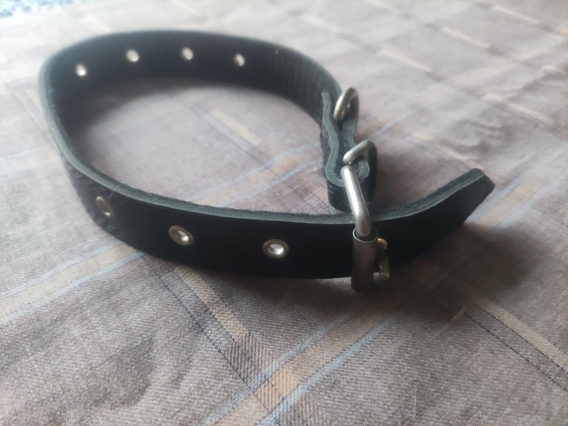 Продам собачий ошейник