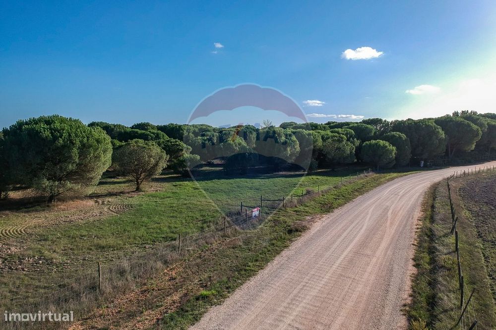 Terreno  para venda