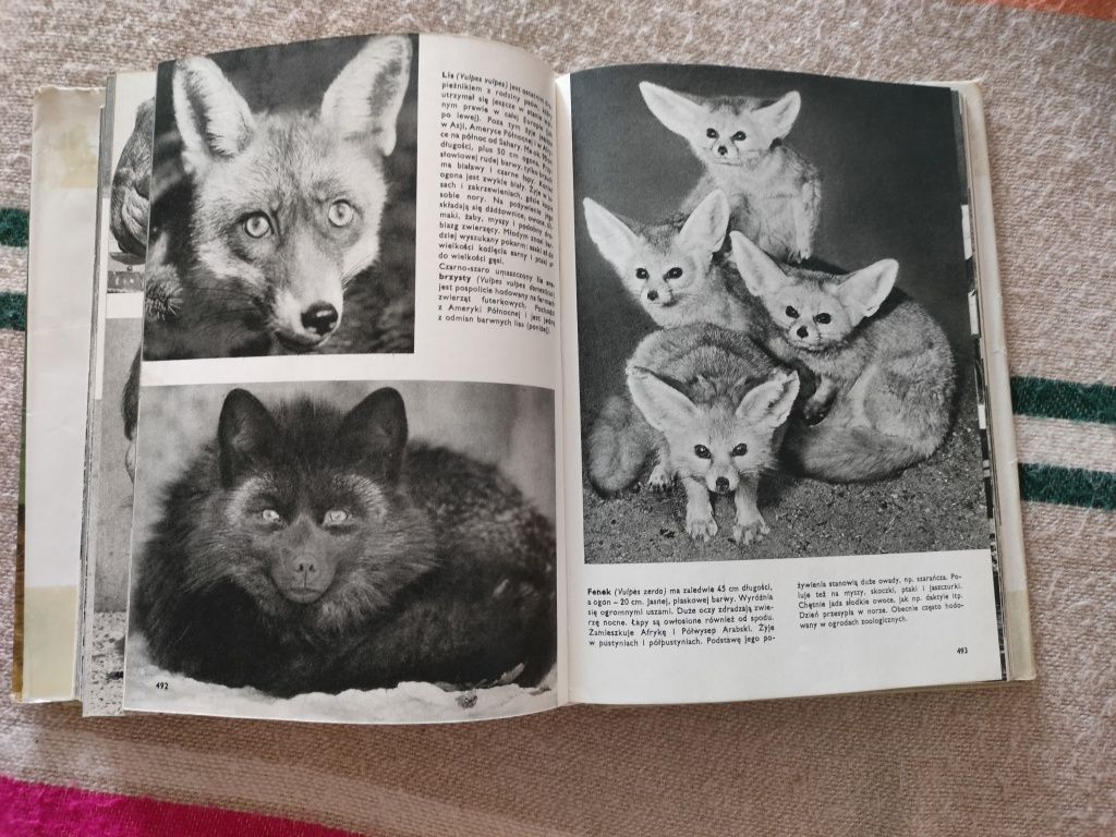 Wielki atlas zwierząt Stanem V. J. 1978