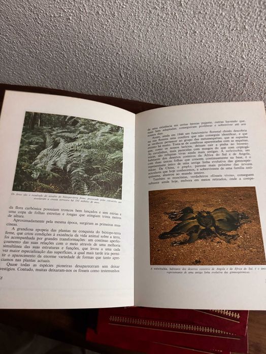 Coleção Este Planeta em que Vivemos - 8 livros