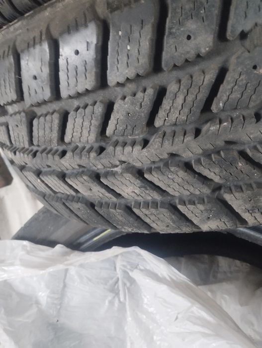 Гума зимова бушва у використанні