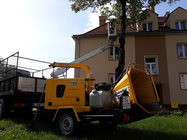 Zwyżka, Podnośnik koszowy, Zwyżka nożycowa, Platforma Robocza, wynajem