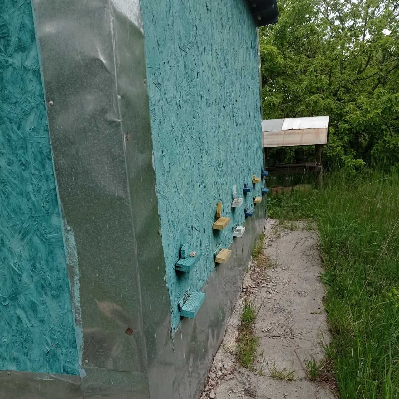 Дачна  ділянка з павільйоном під пасіку