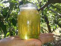 мед белой акации своя пасека 1л. 250гр.