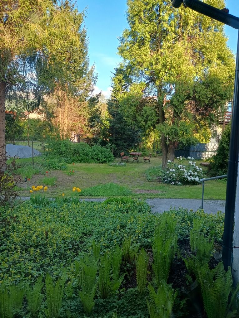 Wynajmę dom w Beskidzie Żywieckim