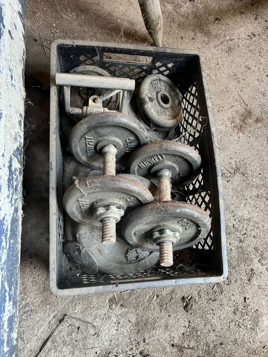 Halteres + Banco de musculação Prospector