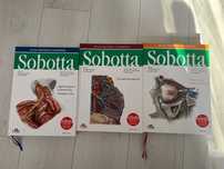 Sobotta atlas anatomiczny