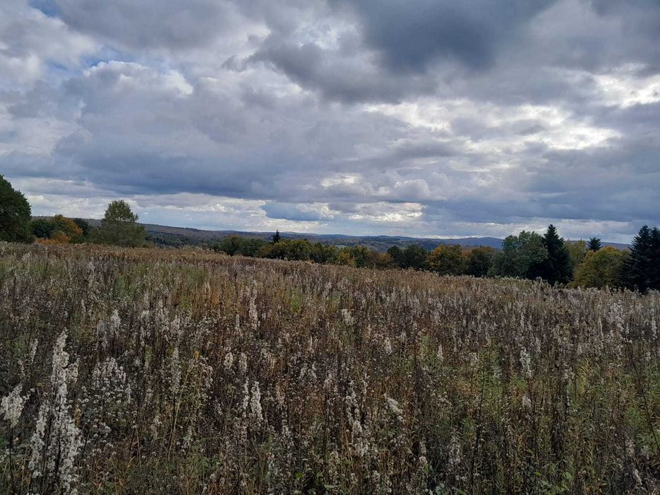 Piękna widokowa działka na przedmieściu Bieszczad