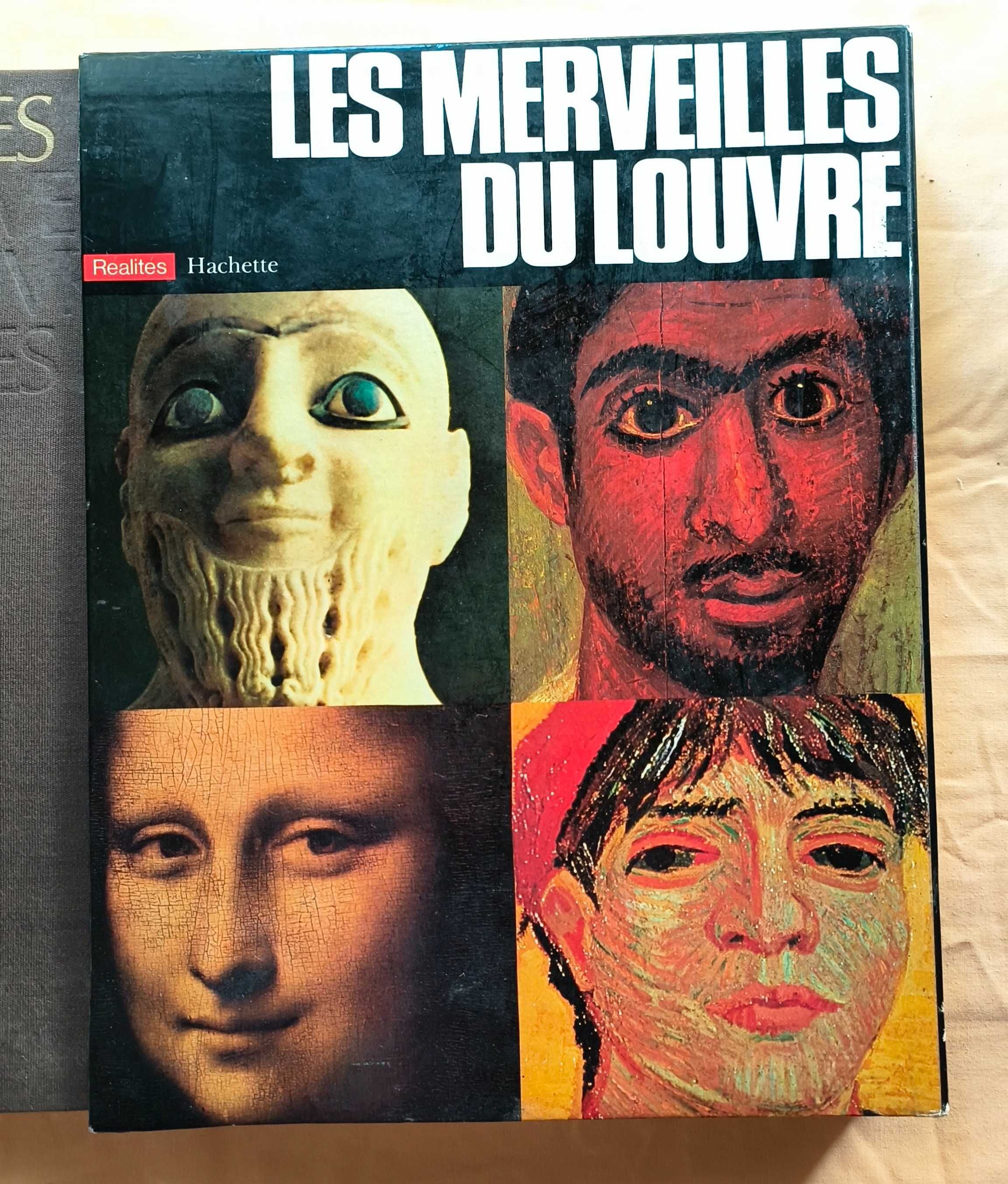Livros antigos, arte, técnicos entre outros