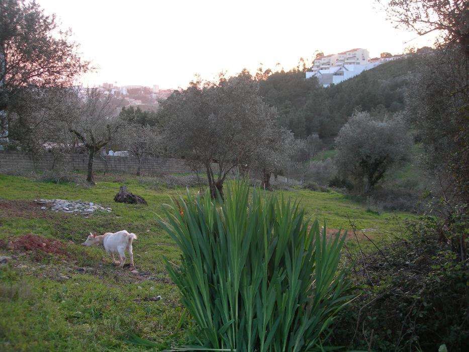 Vendo terreno urbano junto à Solum, Coimbra, para construção.