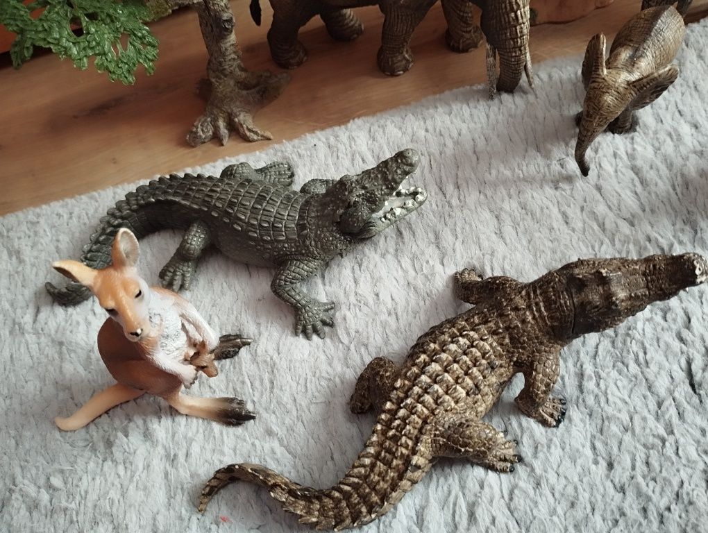 Safari schleich zestaw