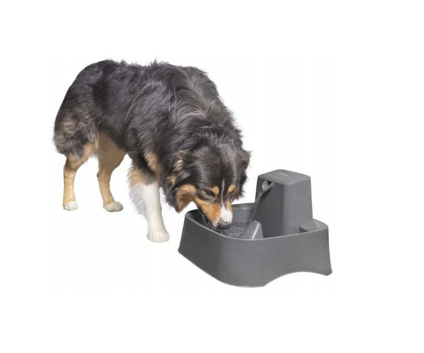 Poidło dla psa dla kota PetSafe