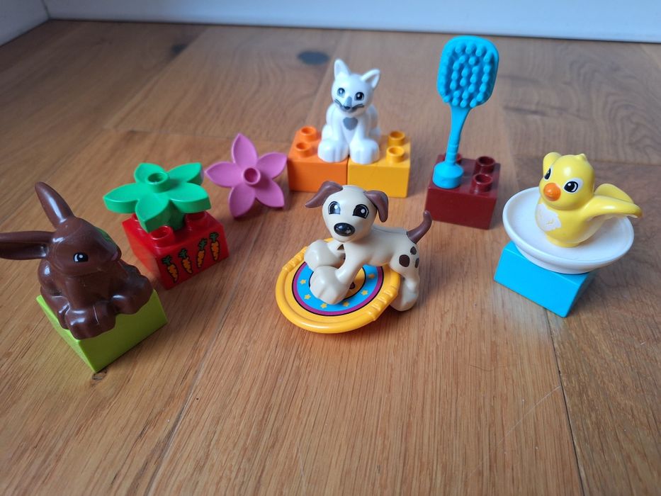 LEGO Duplo Zwierzątka domowe 10838 Zwierzęta domowe