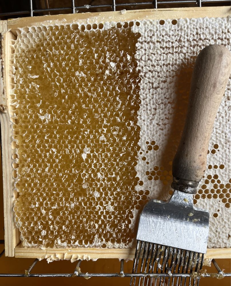 Miód pszczeli z własnej pasieki