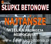 Słupki betonowe do siatki leśnej 2,2