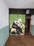 Szafa z drzwiami przesuwnymi z misiami panda wys. 287,5 cm