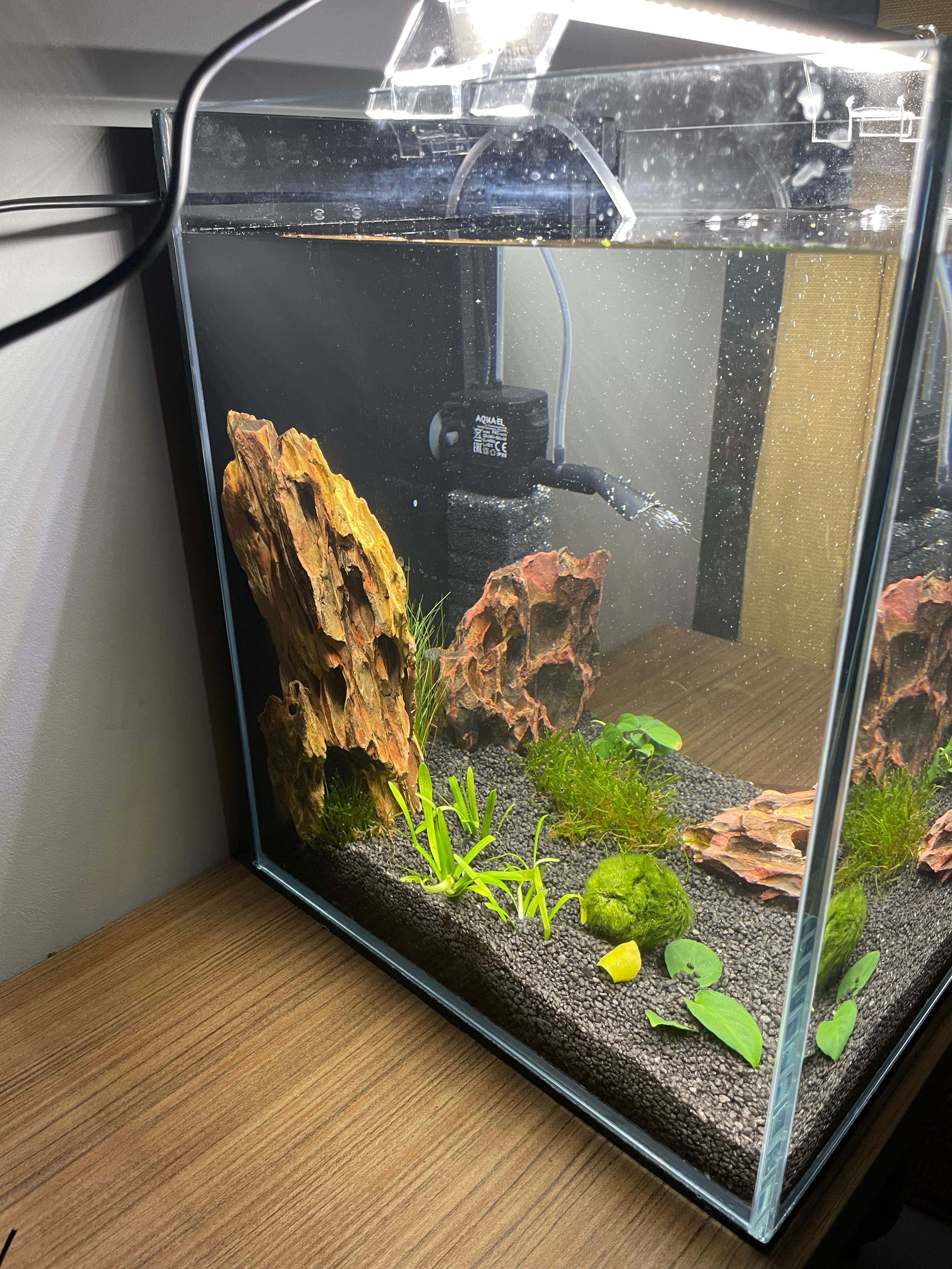 Akwarium kostka 30x30x35 full opti 6mm
