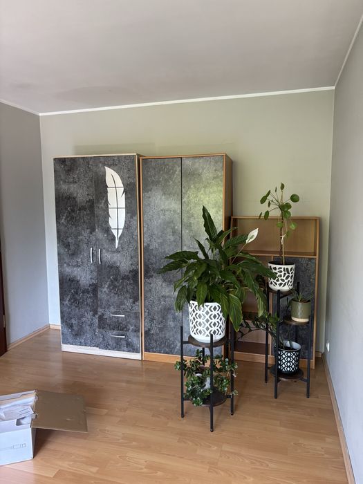 Pokój dla studentki lub absolwentki