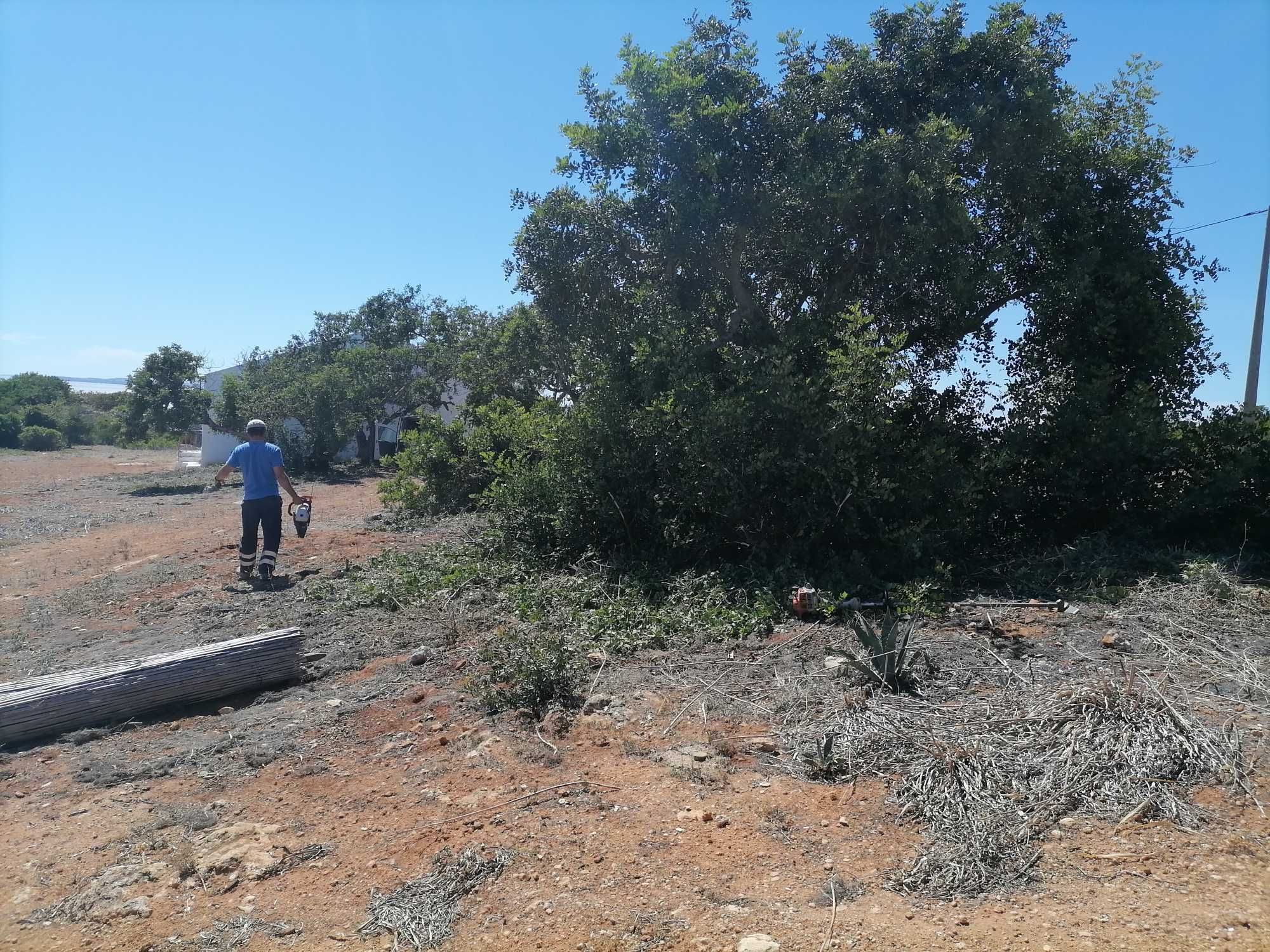 Manutenção de jardins e limpeza de terrenos