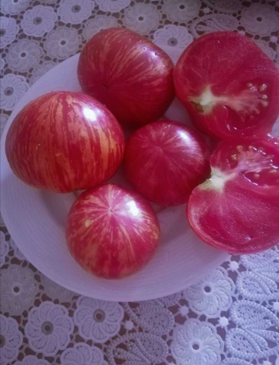 Семена томат (хамелеон)