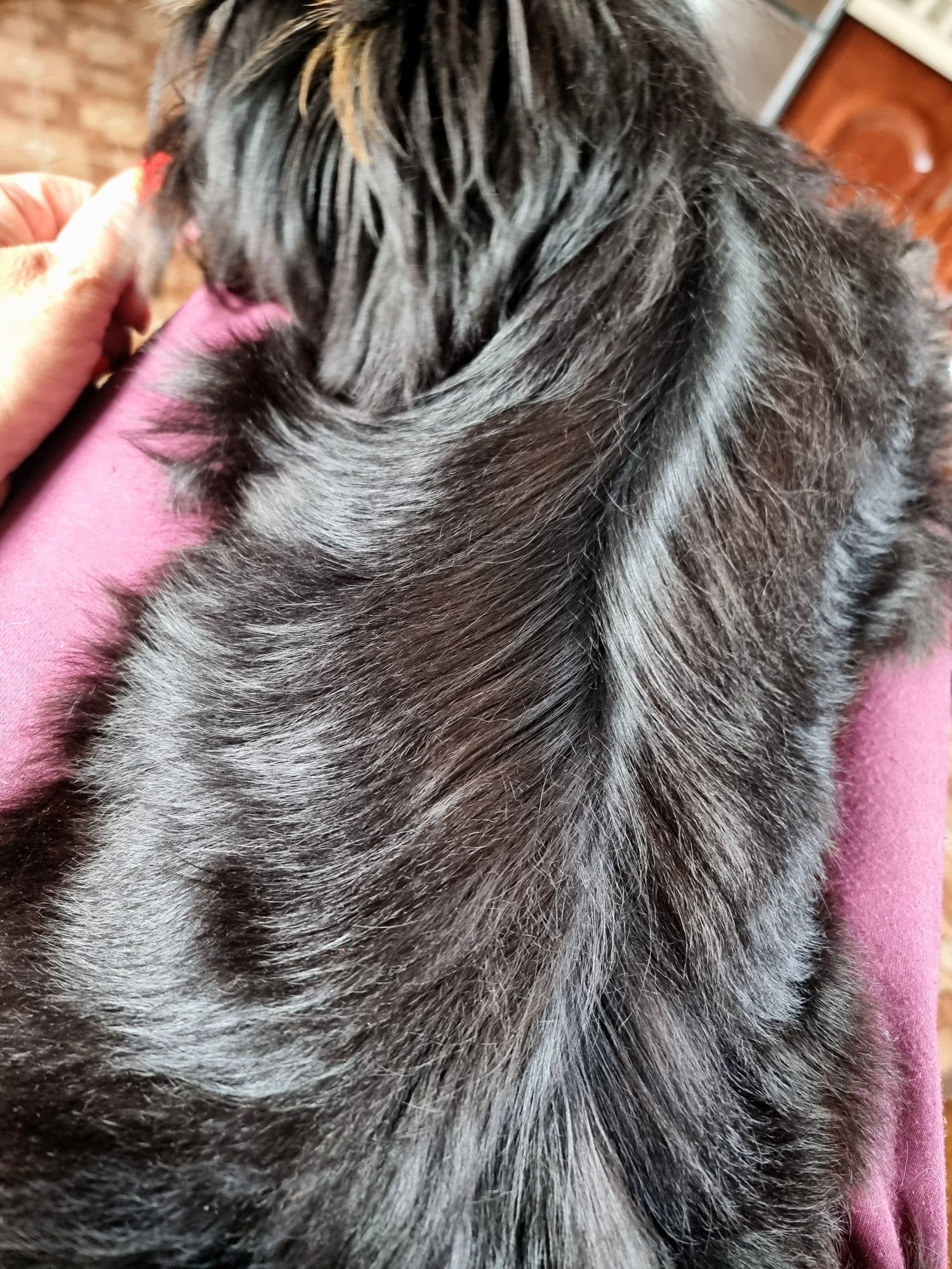 Machoniowo czarny chlopiec