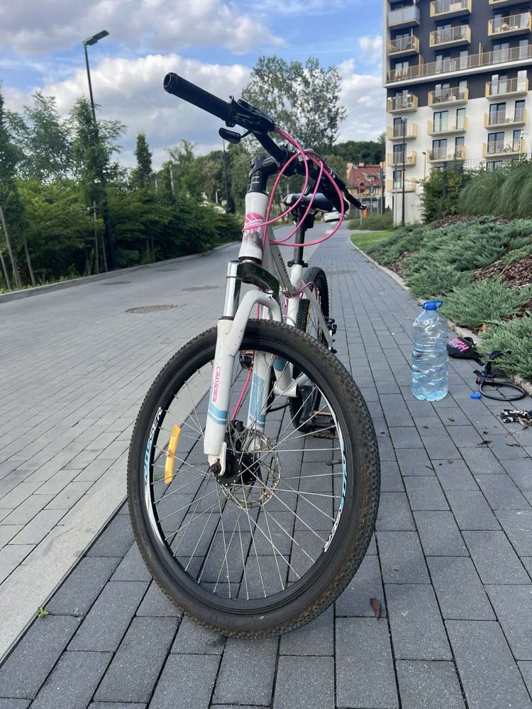 Rower crosser 24