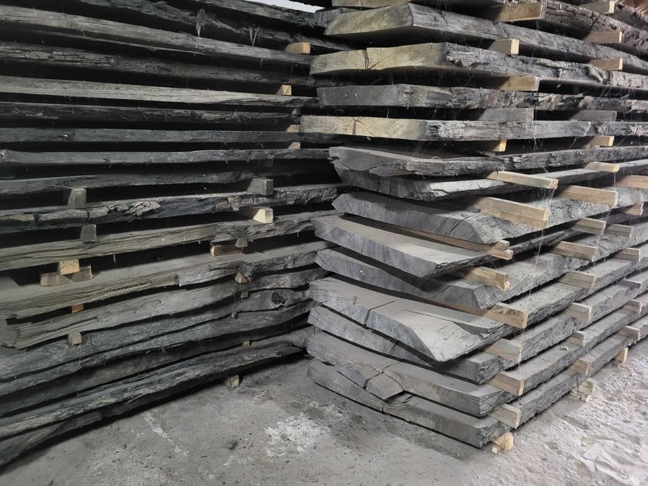 czarny dąb, brusy czarny dąb, dąb bagienny, black oak, dąb czarny