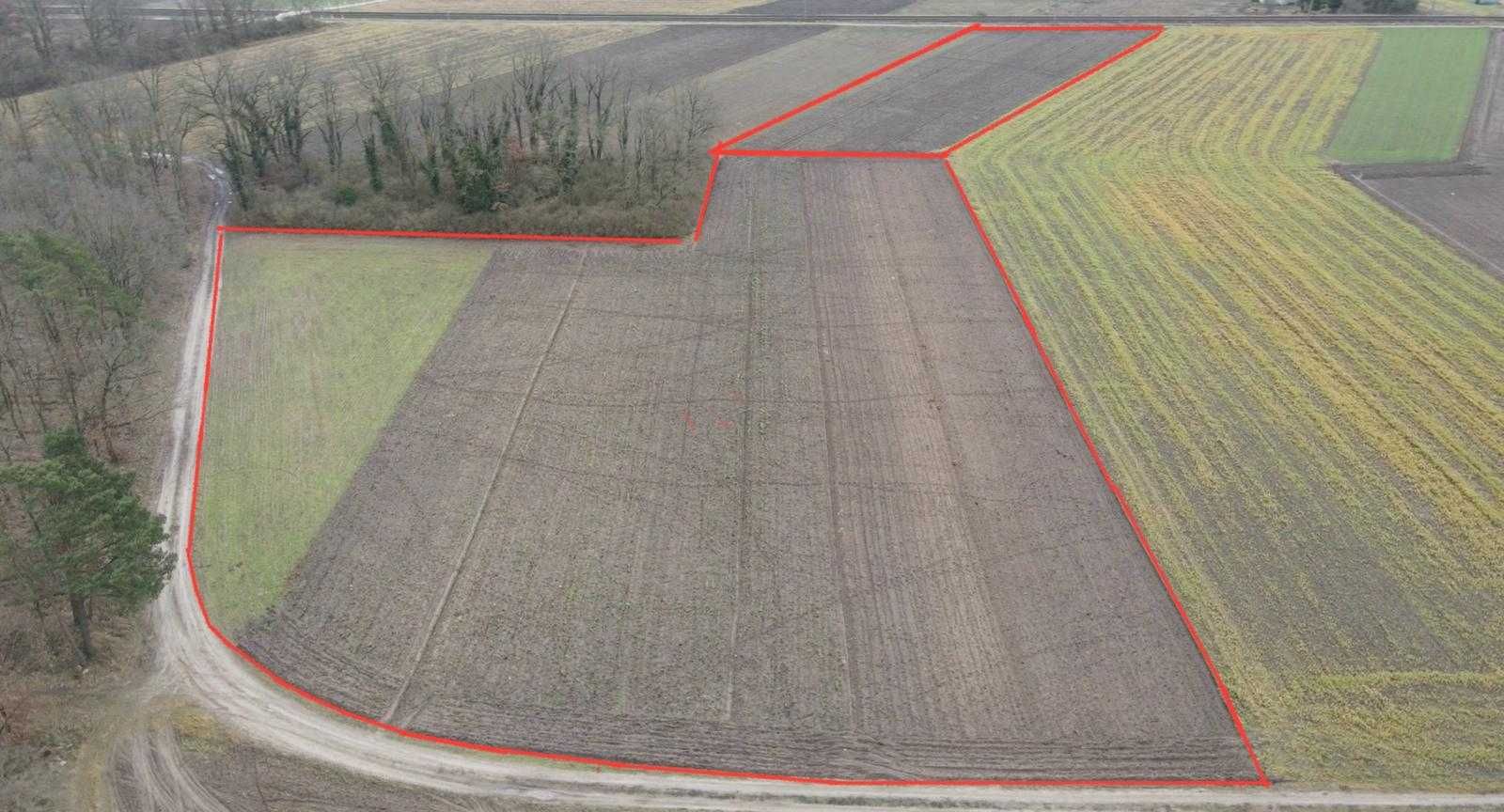 Sprzedam dom z budynkami gospodarczymi