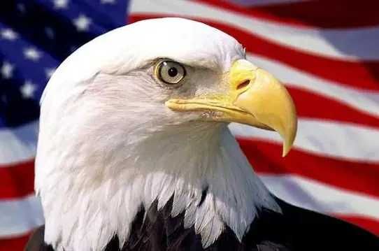 Korepetycje z angielskiego- egz. 8-klasisty, matura, Bydgoszcz, Nakło