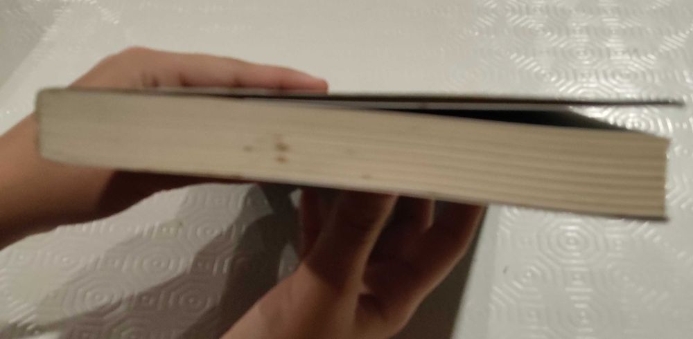 Livro "A Cabana", Wm. Paul Young