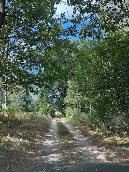 Działka 5100m2 pod lasem, siedlisko