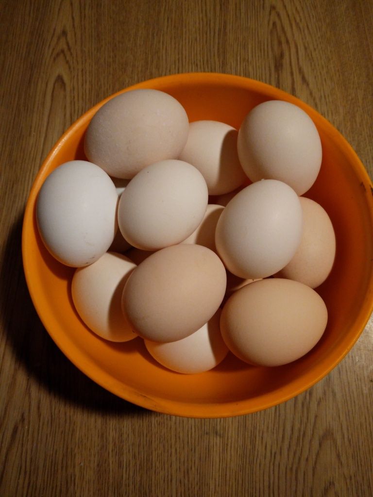 Jajka jaja wiejskie/ Cena za 10 jajek