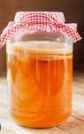 Grzybek Scoby kombucha
