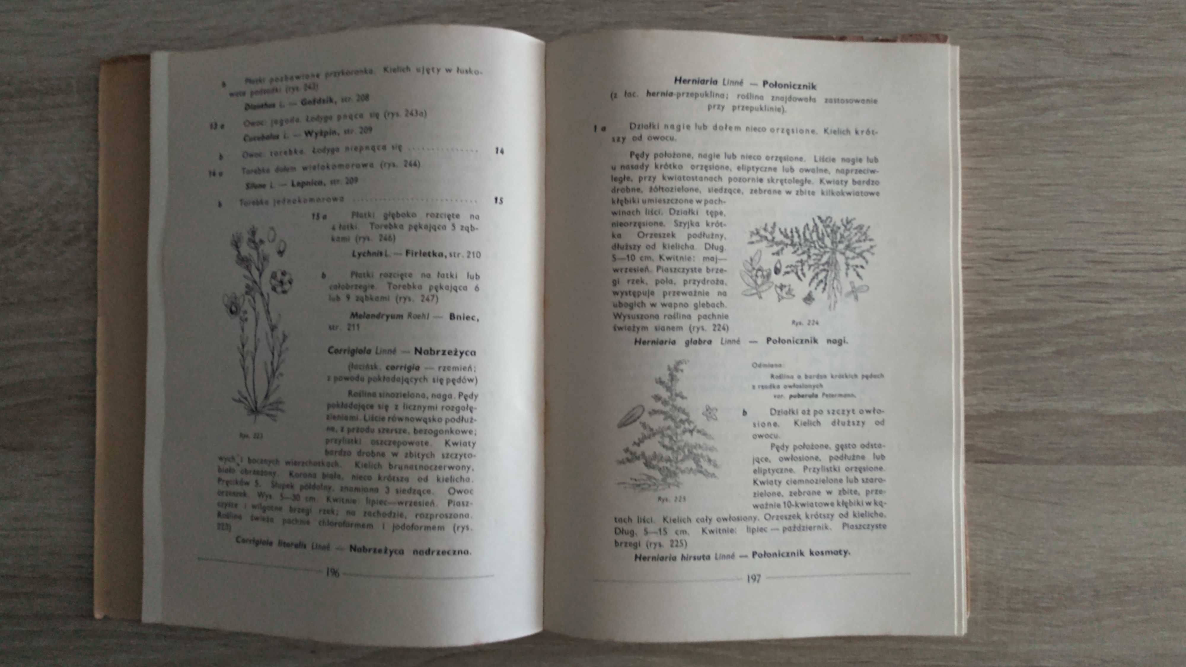 Rośliny wodne krajowe, Mowszowicz 1950, botanika