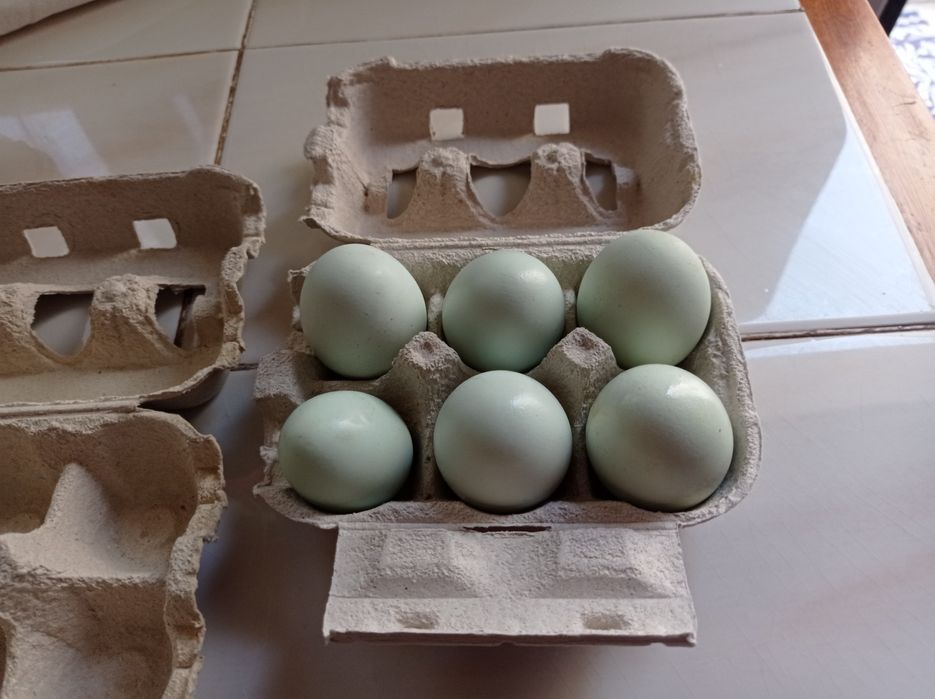 Ovos   caseiros preço da duzia
