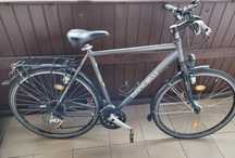 Rower Dancelli Decoro