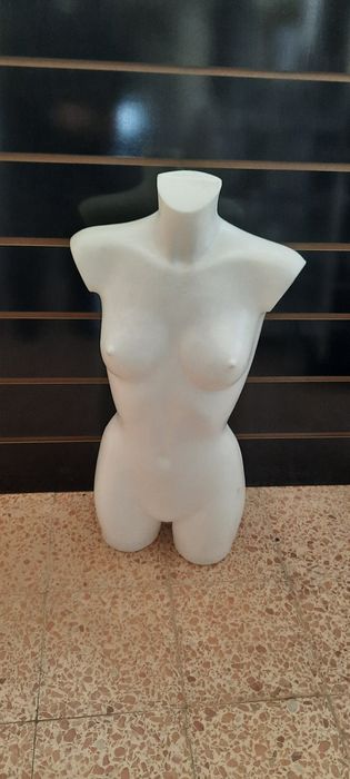 Bustos de Adulto (NOVOS)