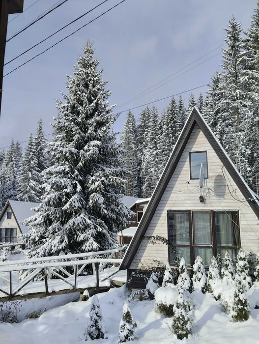 Оренда котеджу, будинку, житла у Карпатах