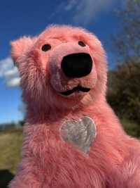 Рожевий ведмедик Коломия.Білий ведмідь.Аніматори