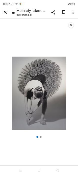 Obraz balerina Castorama