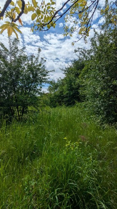 Продаж земельної ділянки Лезневе 5,7 соток