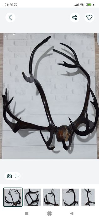 Рога интерьер декор вешалка.