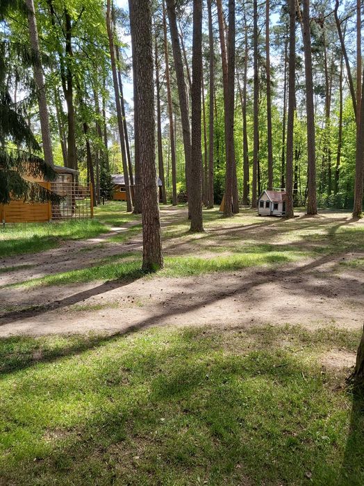 OSTATNiE WOLNE TERMINY Domek letniskowy nr4 MAZURY jezioro las