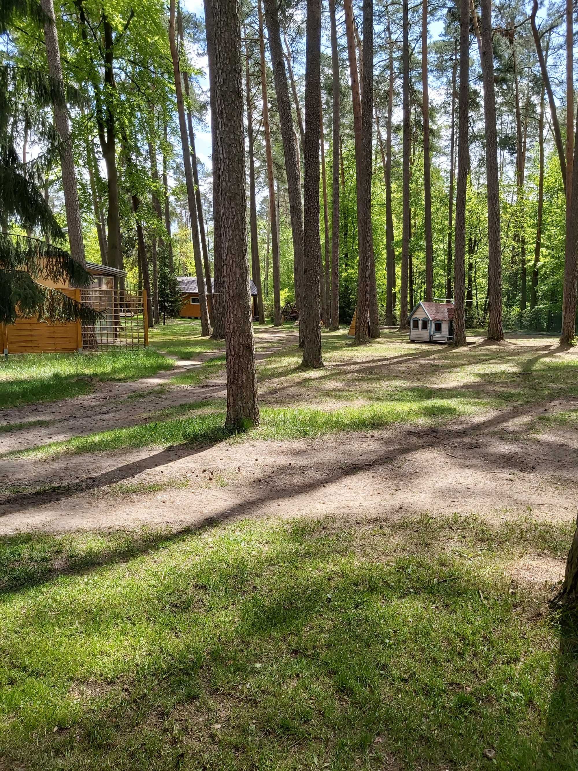 OSTATNiE WOLNE TERMINY PDomek letniskowy nr4 MAZURY jezioro las