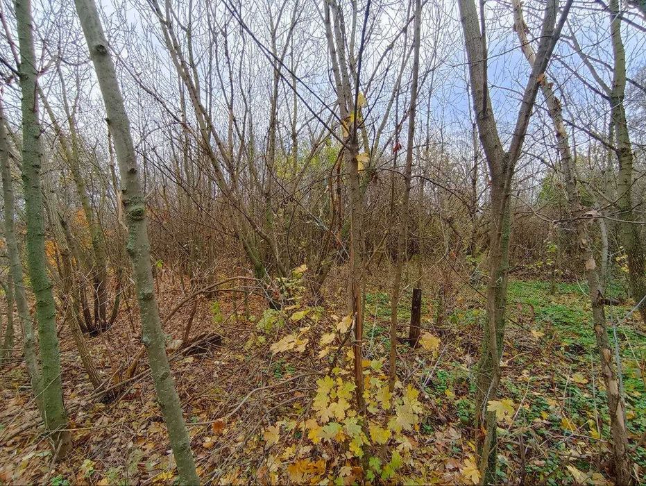 Продам Дом-Участок 25сот с. Просяное. Асфальт к Дому