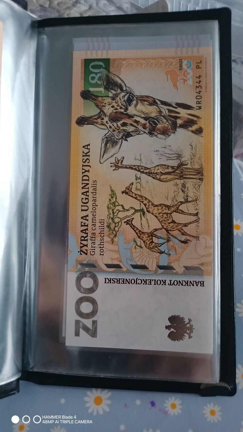 Zoo Wrocław banknot