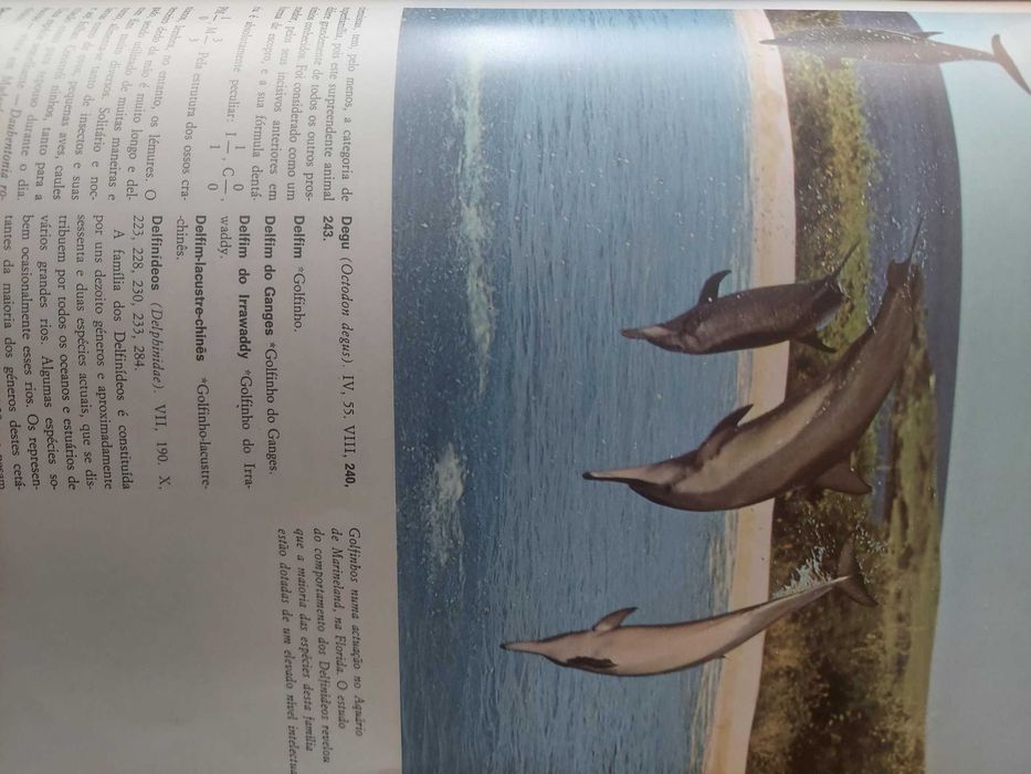 Fauna- Edições Alfa- coleção completa, encadernação de luxo