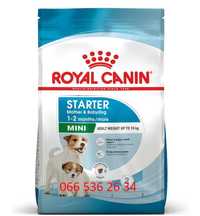 Royal Canin Mini Starter для щенков до 2 месяцев и беременных собак